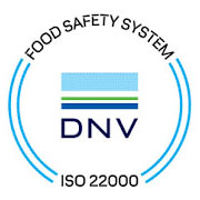 DNV Management System Certificate